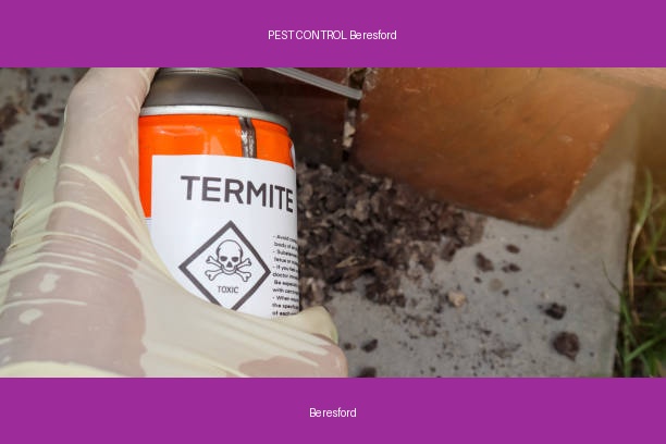 PEST CONTROL Beresford